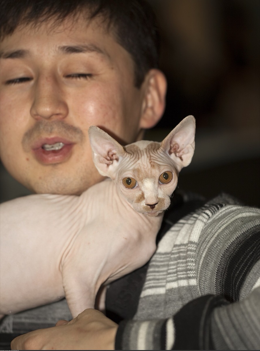스핑크스 사진 3